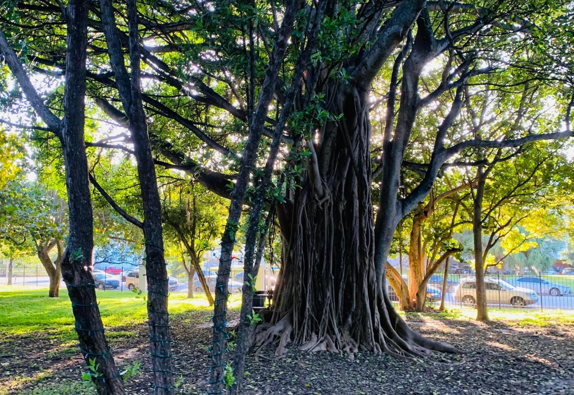 Miami Beach Apartment With Private Patio Free Parking Family Friendly No Pet Fee エクステリア 写真